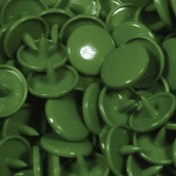 button colour palm green